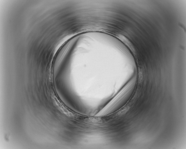 X0000101661052200807311431