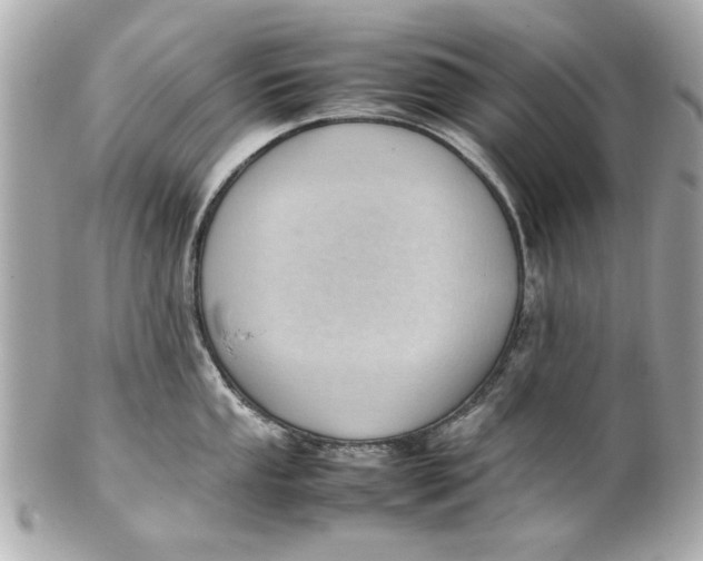 X0000101661053200807311431