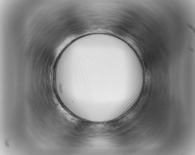 X0000101661054200807311431