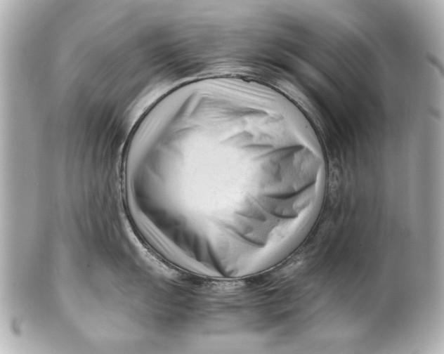 X0000101661055200807311431