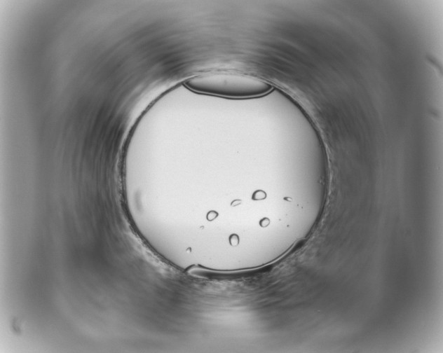 X0000101661056200807311431