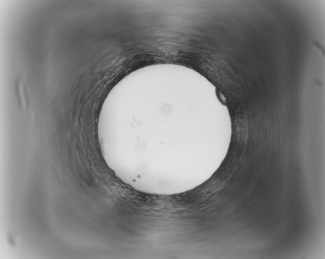 X0000101661057200807311430