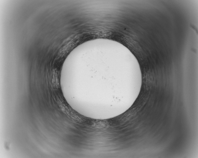 X0000101661058200807311430