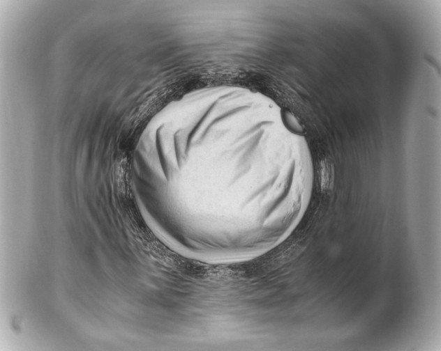 X0000101661059200807311430