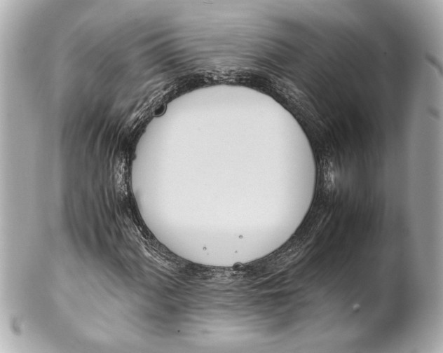 X0000101661060200807311430