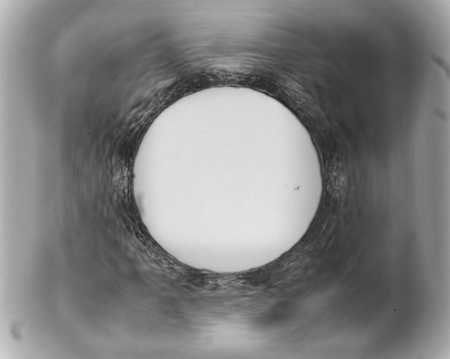 X0000101661061200807311430