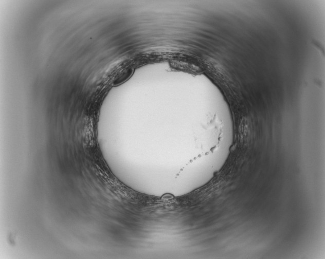 X0000101661062200807311430