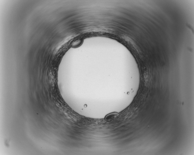 X0000101661064200807311430