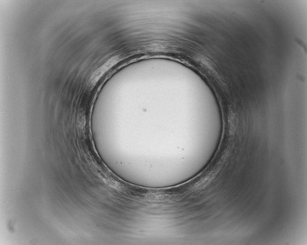 X0000101661065200807311430