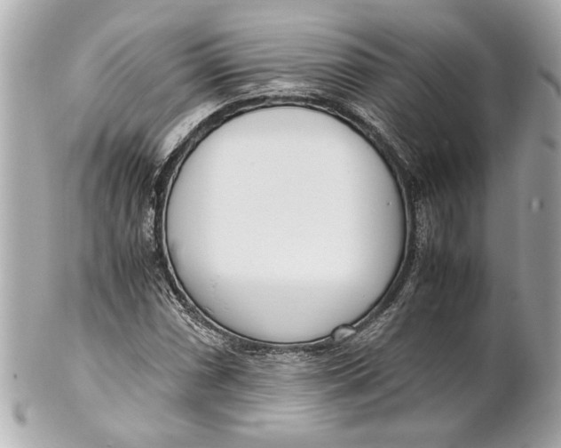 X0000101661066200807311430