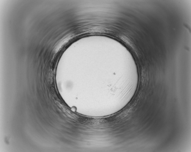 X0000101661067200807311430