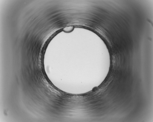 X0000101661068200807311430