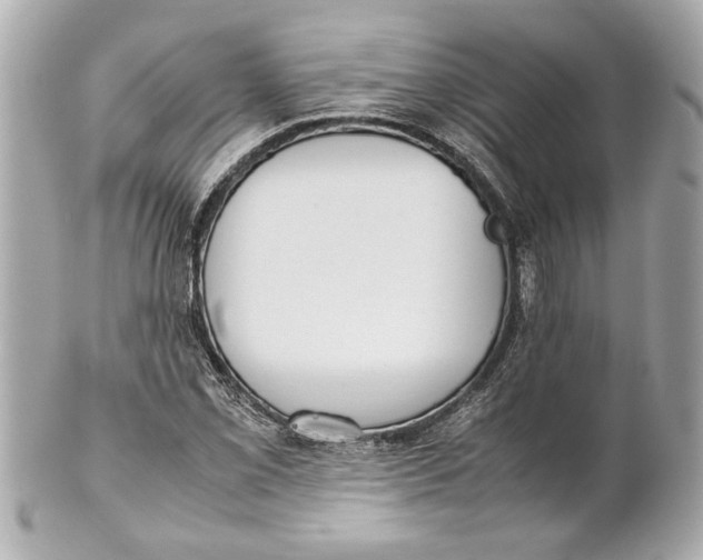 X0000101661069200807311430