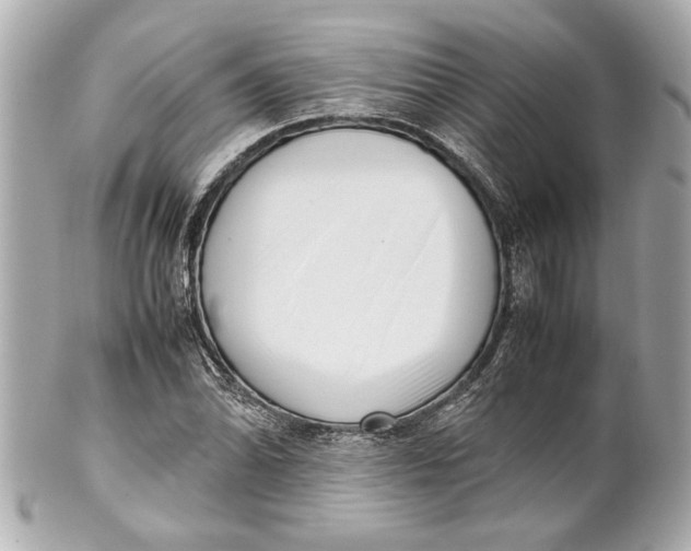 X0000101661070200807311430