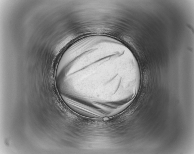 X0000101661071200807311430