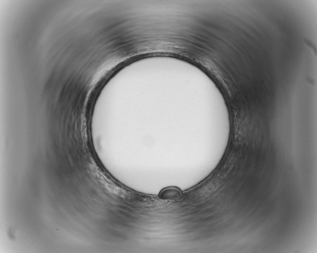 X0000101661072200807311430