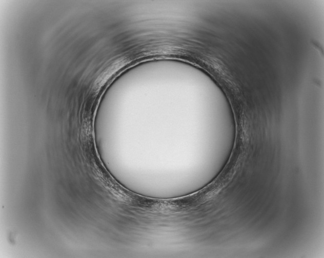 X0000101661073200807311430