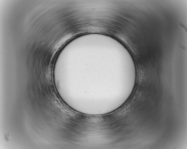 X0000101661074200807311430