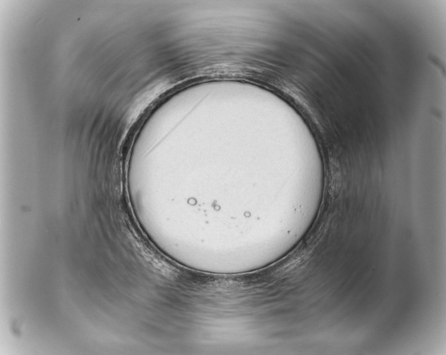 X0000101661075200807311430