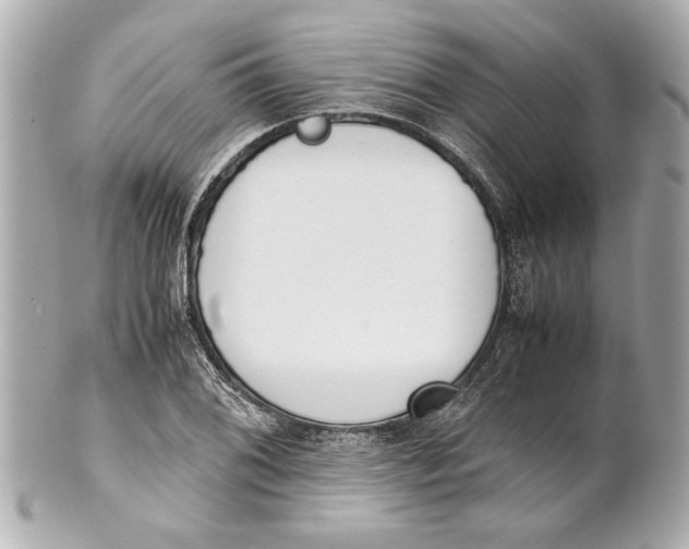 X0000101661076200807311430