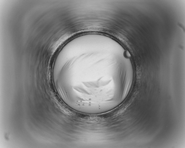 X0000101661077200807311430