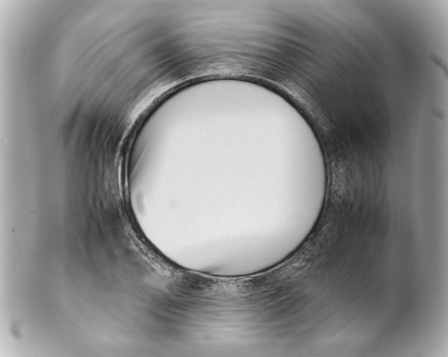 X0000101661078200807311430