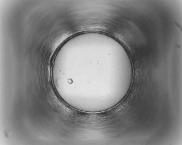 X0000101661079200807311430