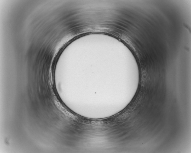 X0000101661080200807311430