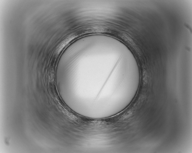 X0000101661081200807311430