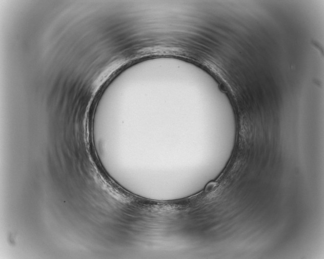 X0000101661082200807311430