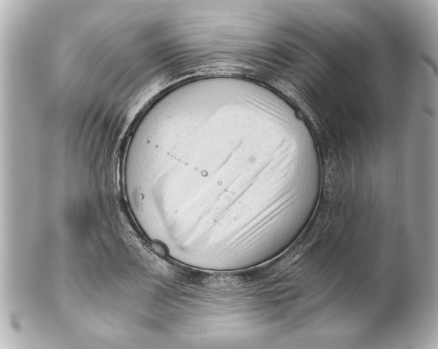 X0000101661083200807311430