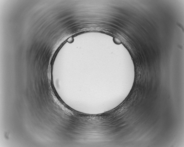 X0000101661084200807311430