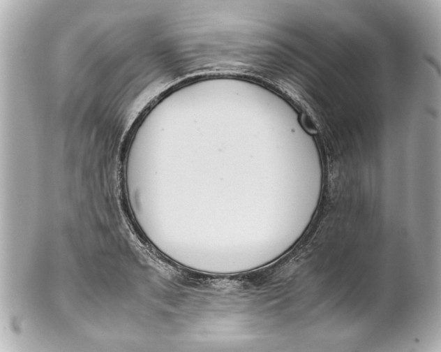 X0000101661085200807311430