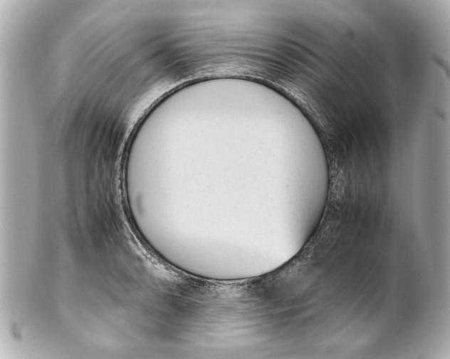 X0000101661086200807311430