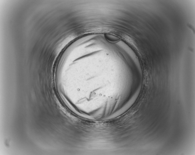 X0000101661087200807311430