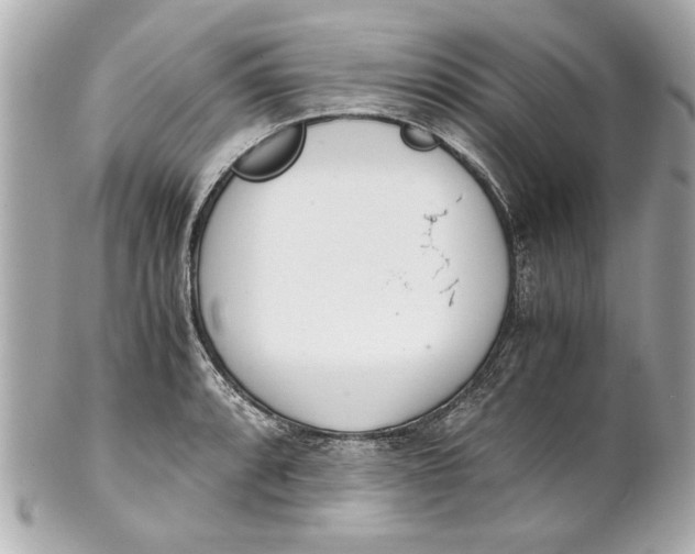 X0000101661088200807311430