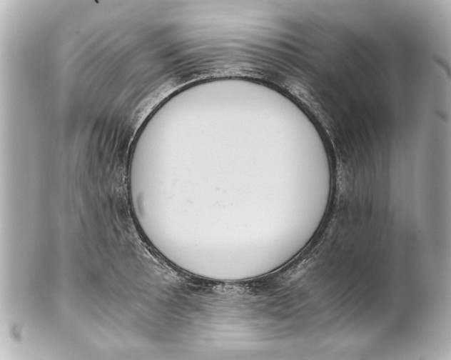 X0000101661089200807311429