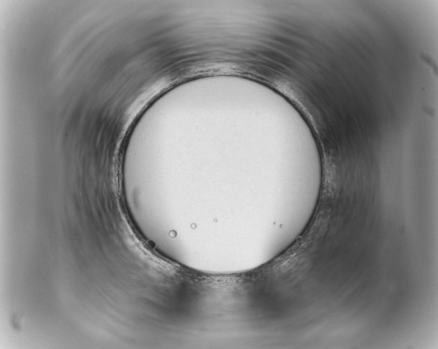 X0000101661090200807311429