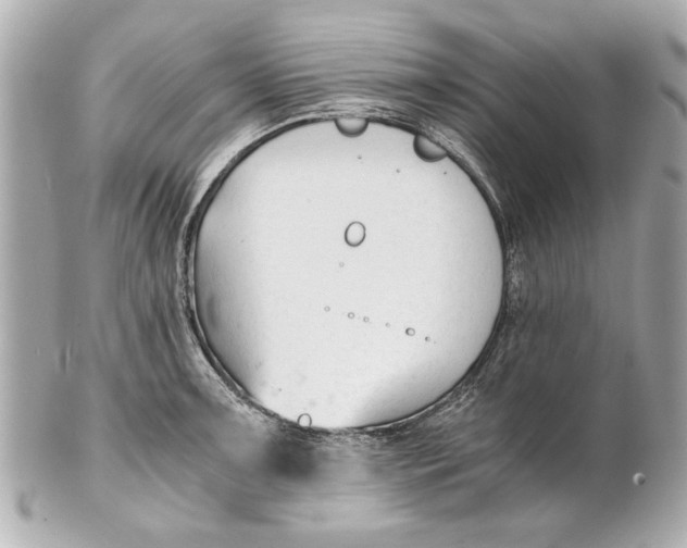 X0000101661091200807311429