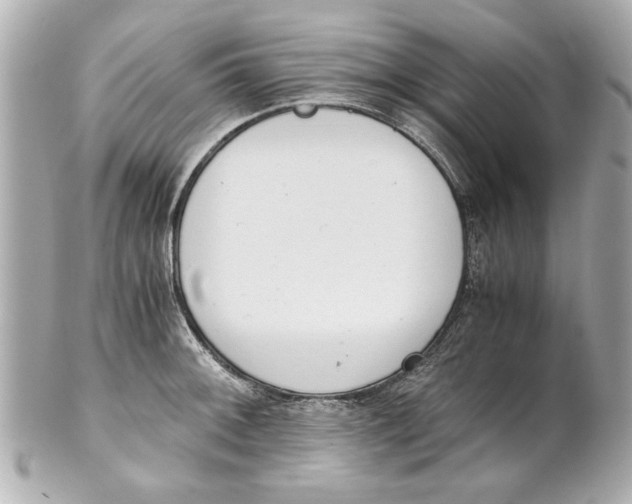 X0000101661092200807311429