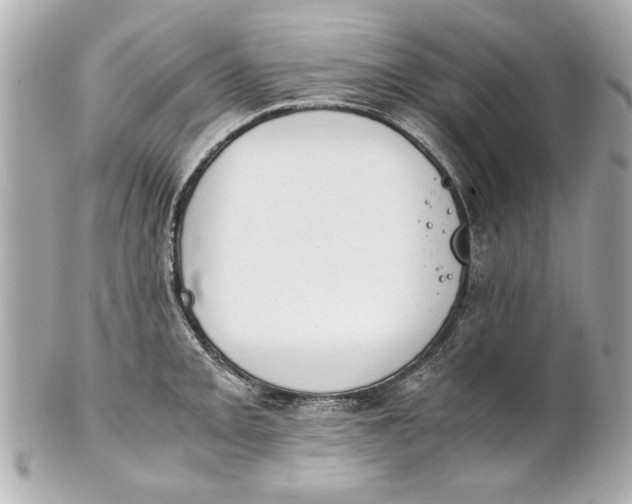 X0000101661093200807311429