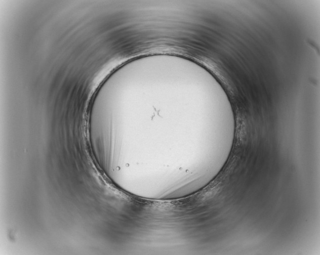 X0000101661094200807311429