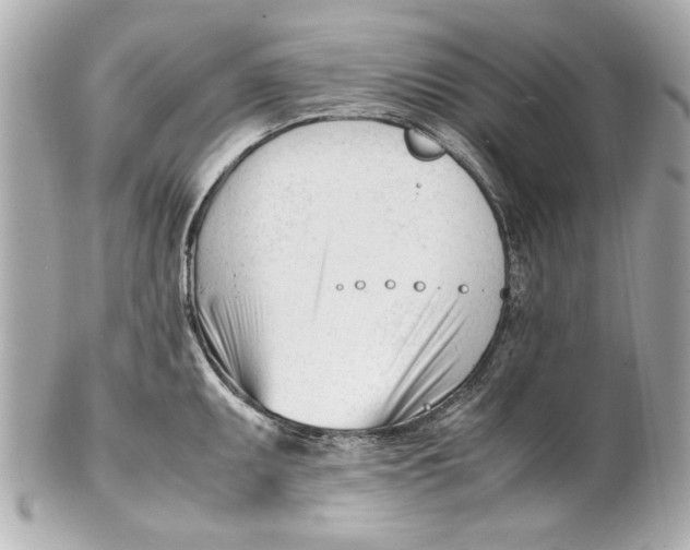 X0000101661095200807311429