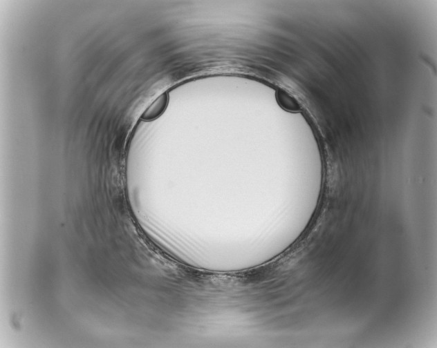 X0000101661097200807311429