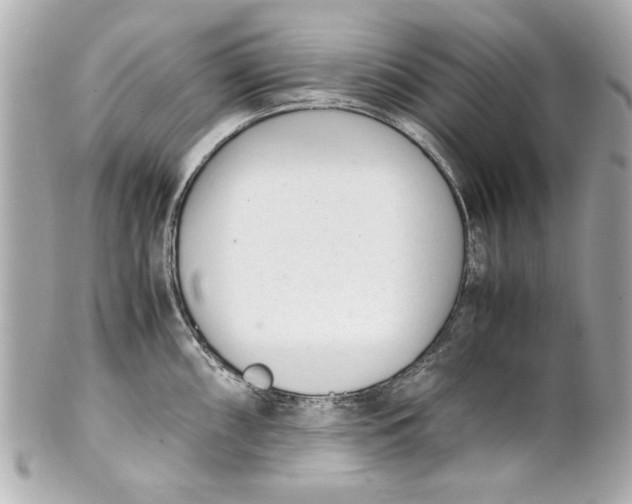 X0000101661098200807311429