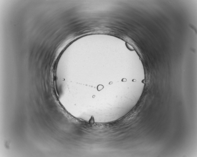 X0000101661099200807311429