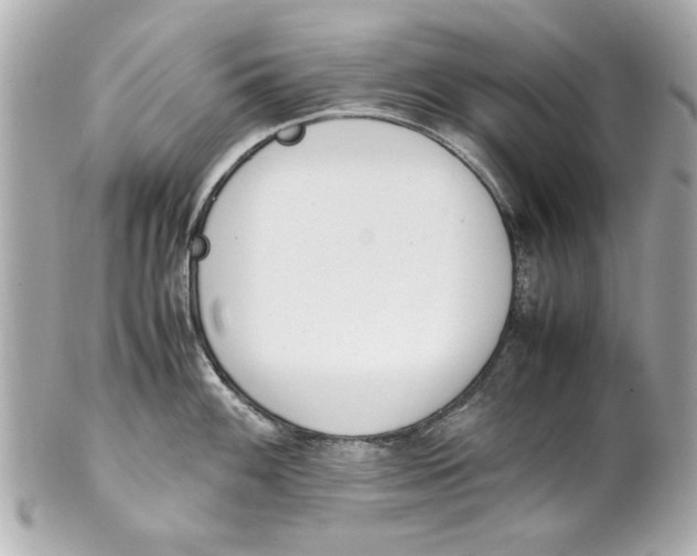 X0000101661100200807311429