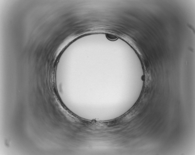 X0000101661101200807311429