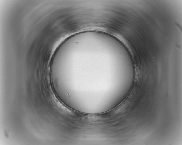 X0000101661102200807311429