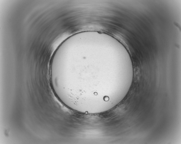 X0000101661103200807311429